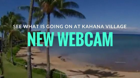 Webcam Blog