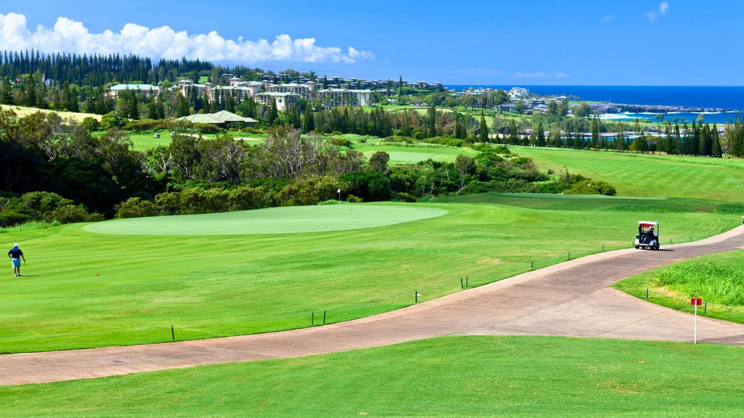 Kapalua Plantation Golf Course on Maui