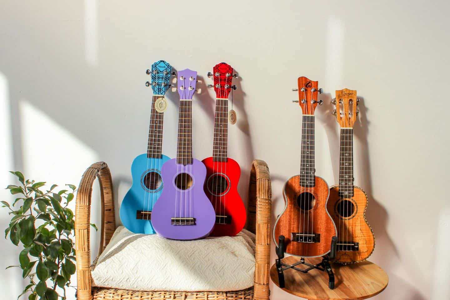 ukulele 1