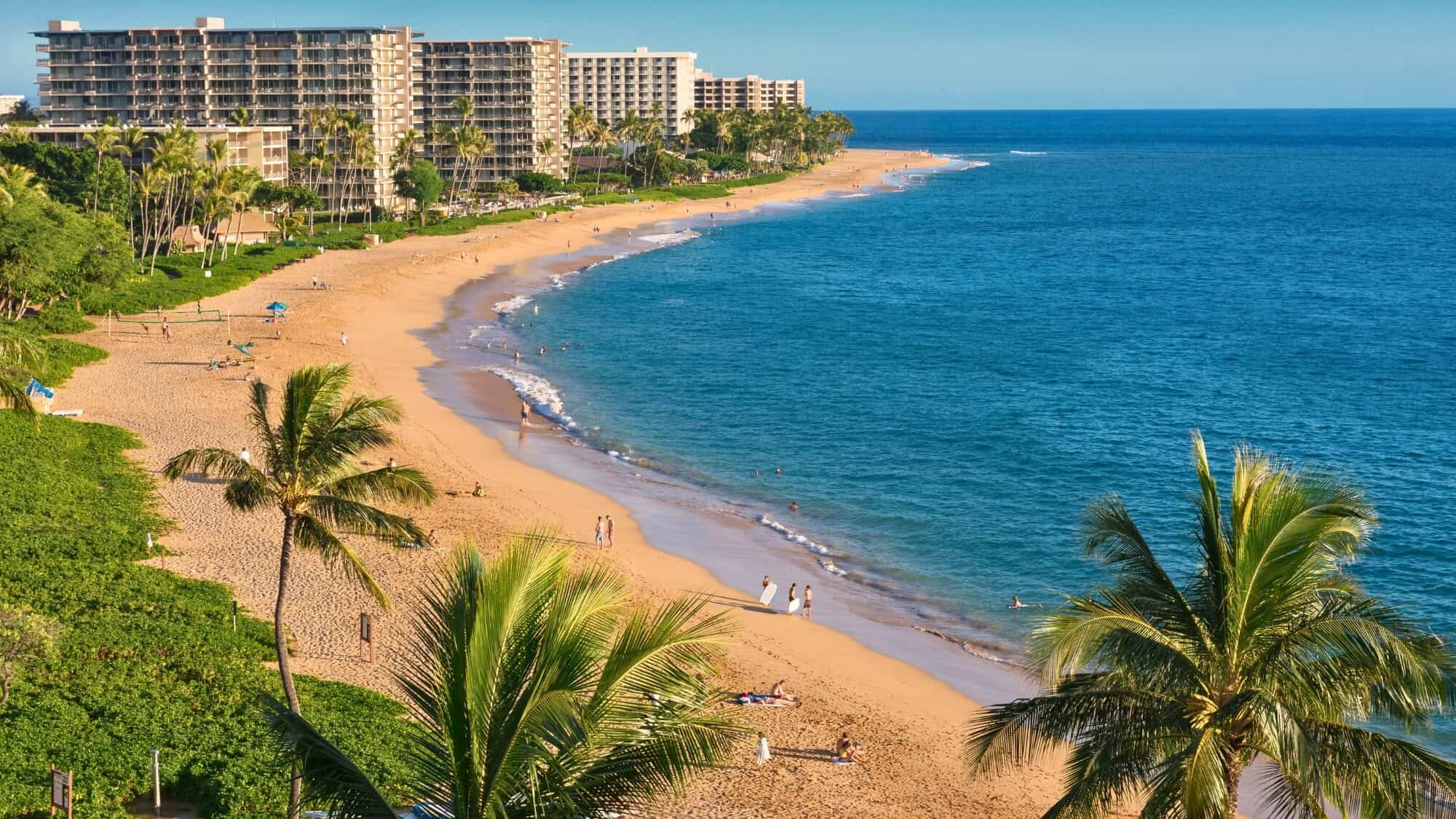 Scenic view of Kaanapali Beach featuring palm trees and a hotel in the distance.